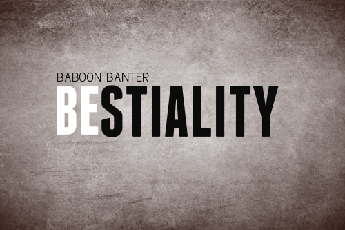 Baboon Bestiality